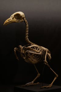 🔬 Biology – Class 10 Science