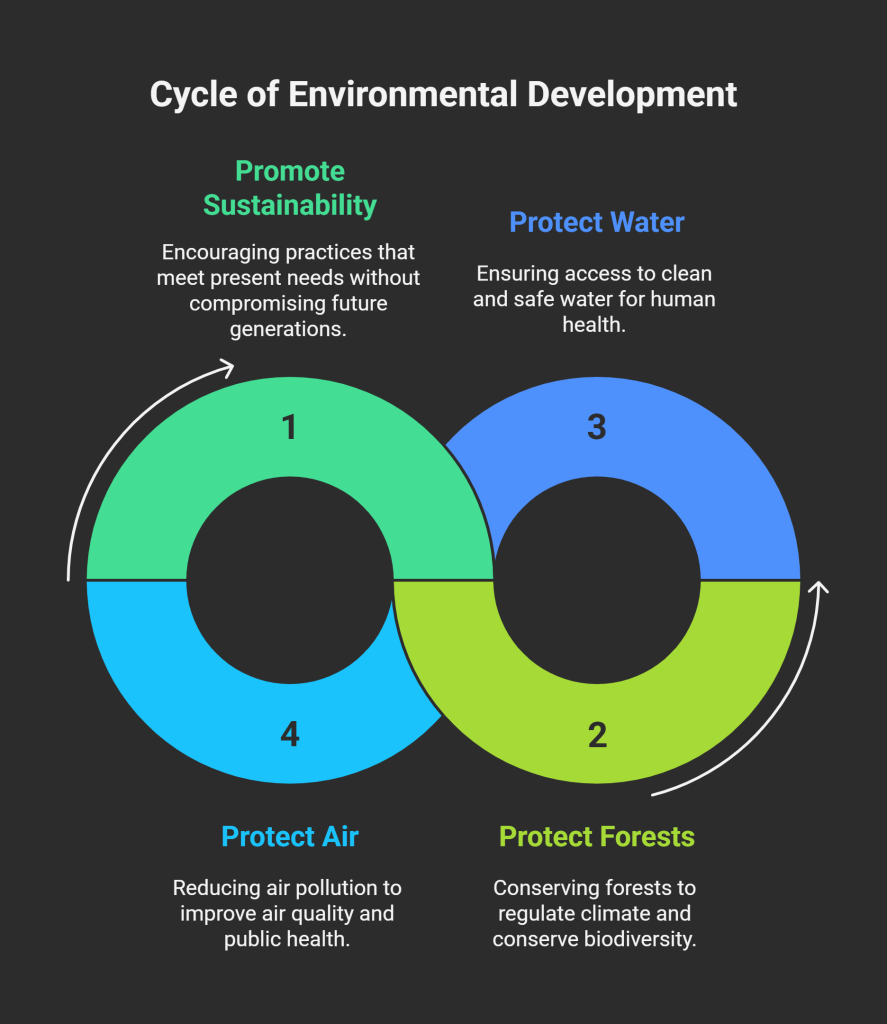 Environmental Dimention