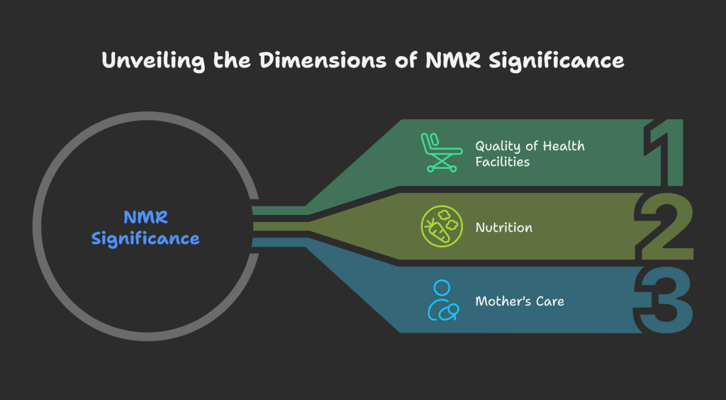 Neonatal Mortality Rate A Key Indicator of Development visual selection