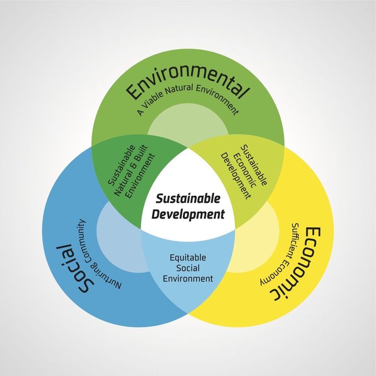 Sustainable Development is the development that…